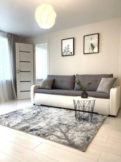 New Modern Apartments In The City Center Narwa Zewnętrze zdjęcie