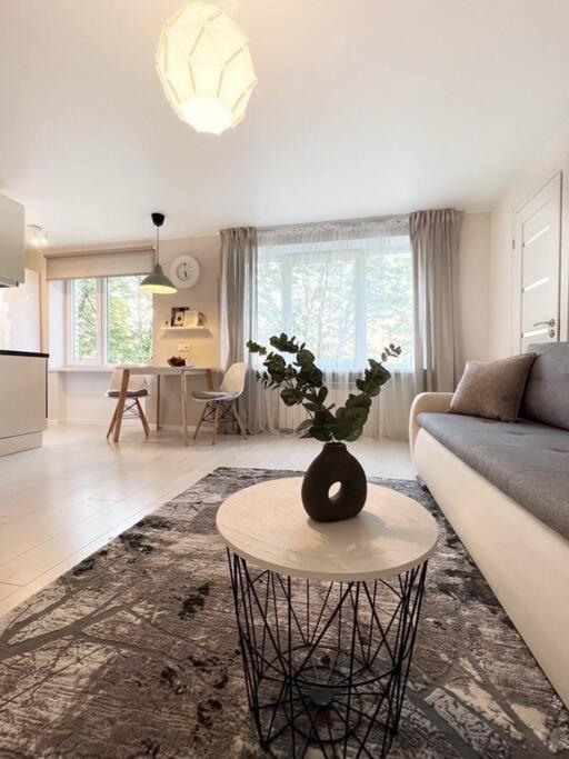 New Modern Apartments In The City Center Narwa Zewnętrze zdjęcie